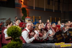 Bild zum Eintrag (1123961-219)