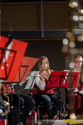 Bild zum Eintrag (1123967-219)