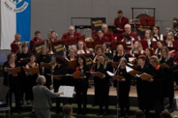 Bild zum Eintrag (1129391-219)