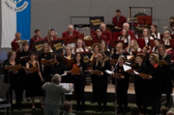 Bild zum Eintrag (1129392-219)