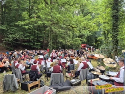 Bild zum Eintrag (1129437-219)