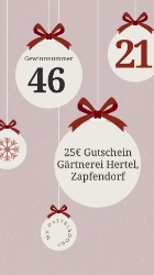 Bild zum Eintrag (1131501-219)