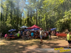 Bild zum Eintrag (1147646-219)
